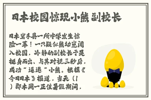 精品亚洲综合一区二区三区